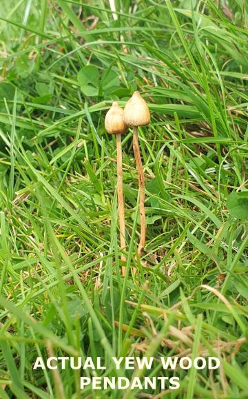 Magic Mushroom Pendant Liberty cap Necklace, Yew wood NEW DESIGN : $16