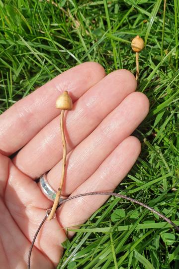 Magic Mushroom Pendant Liberty cap Necklace, Yew wood NEW DESIGN : $16