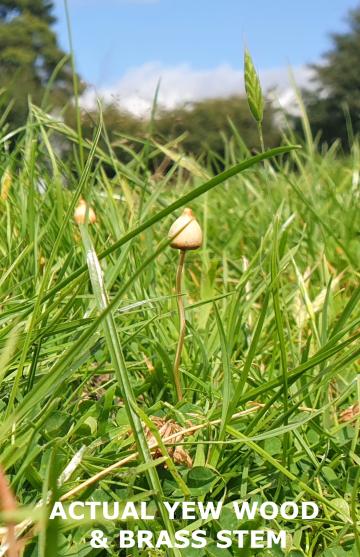 Magic Mushroom Pendant Liberty cap Yew wood Cap, Bronze Brass or Silver stem : $9