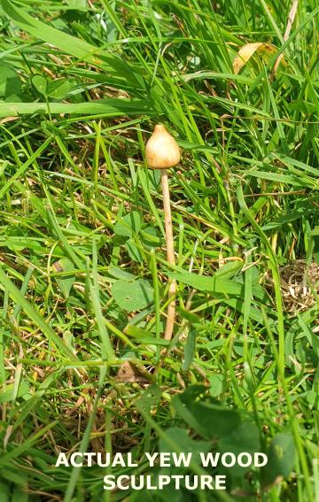 Magic Mushroom Liberty cap Sculpture Ornament Plant Pot Garden Lawn Yew wood with Bronze, Brass or Yew wood Stem : $6