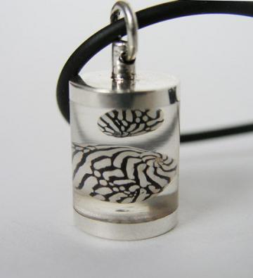 Pendant Silver & magnified Zebra shells Chamber : $48